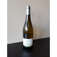 sauvignon_22363752